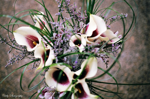 Florist «Stargazer Premier Florist», reviews and photos, 925 NW Circle Blvd, Corvallis, OR 97330, USA