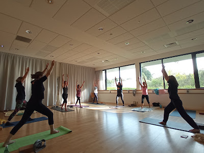Association Plérinaise de Yoga à Plérin