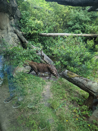 Zoo «Zoomazium», reviews and photos, 601 N 59th St, Seattle, WA 98103, USA