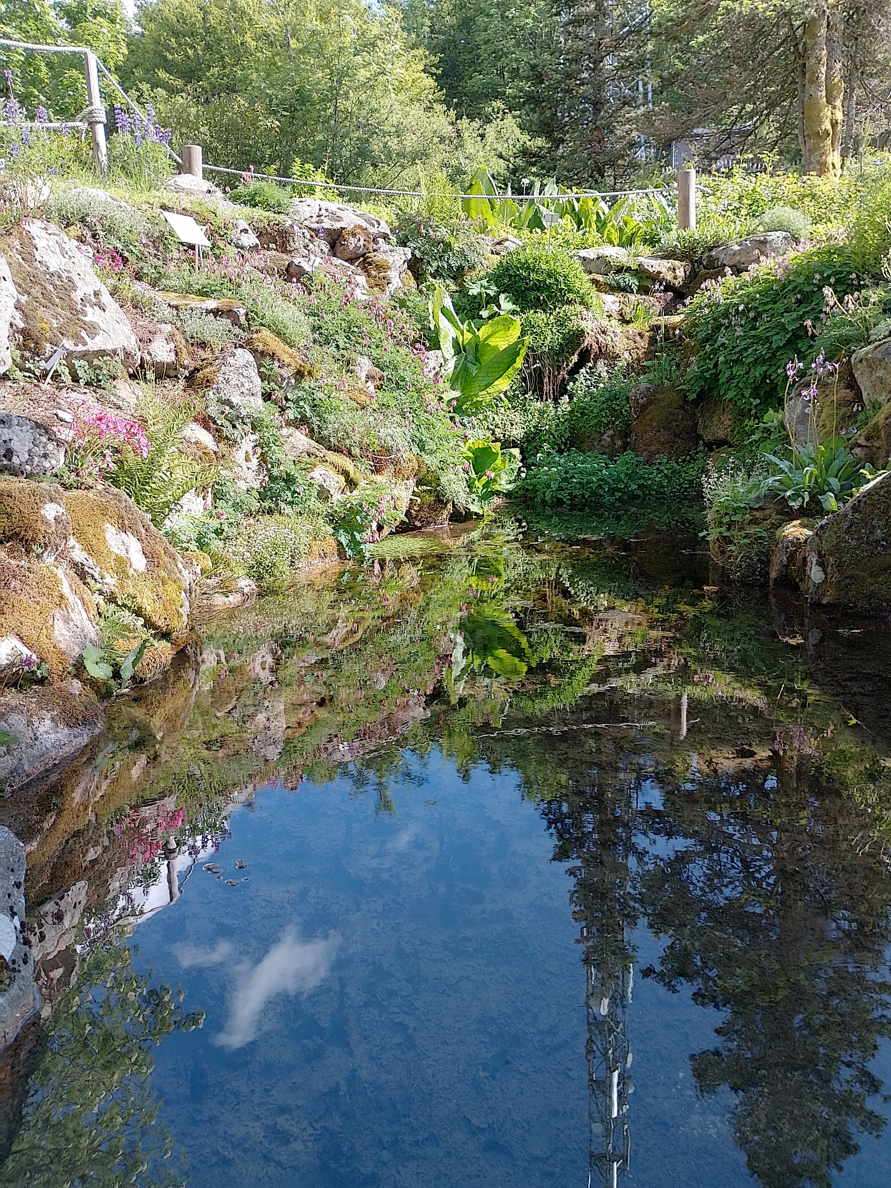 Photo n° 1 de l'avis de Laurent.e fait le 06/06/2022 à 18:40