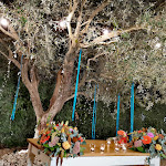 Photo n°1 de l'avis de Matteo.e fait le 17/09/2023 à 14:54 sur le  Agriturismo Ca' Del Facco à Salvirola