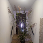 Photo n°5 de l'avis de Ines.o fait le 19/06/2022 à 08:40 sur le  Hotel an der Uffe à Bad Sachsa