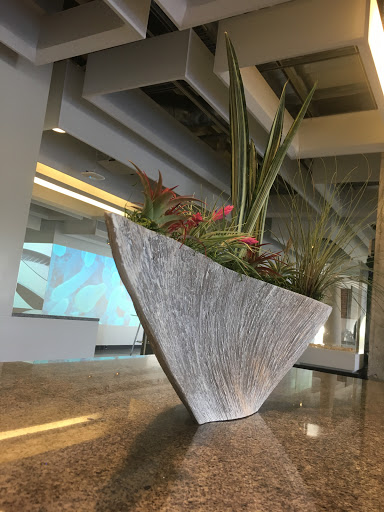 Interior Plantscape Co