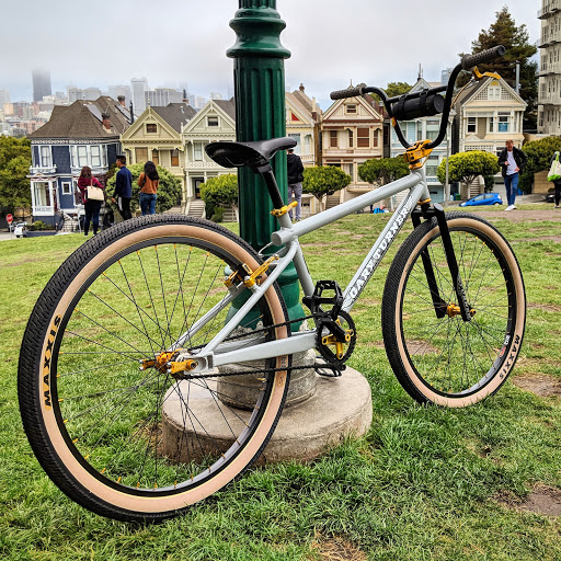 Historical Landmark «Painted Ladies», reviews and photos, Steiner St, San Francisco, CA 94117, USA