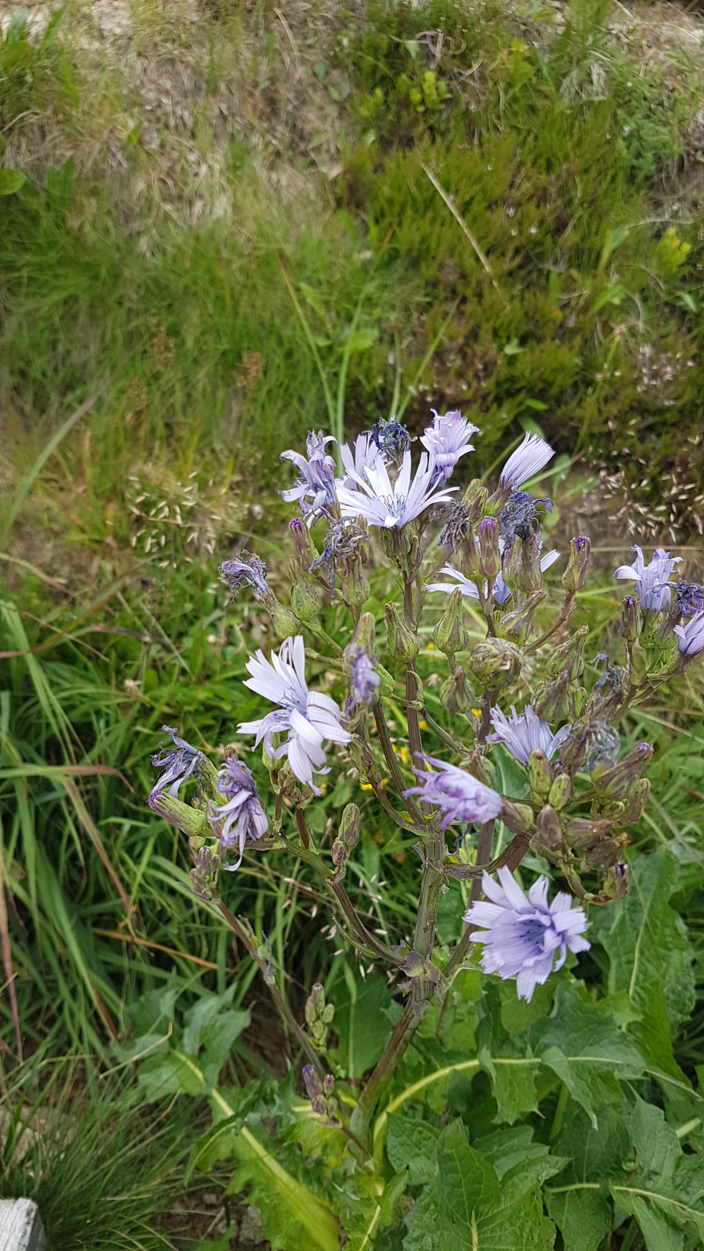 Photo n° 10 de l'avis de Catherine.R fait le 09/08/2019 à 17:54