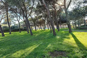Parco della Romanina image