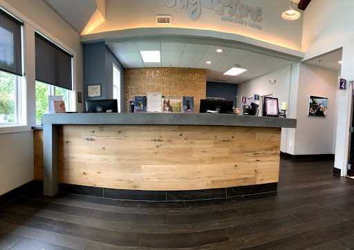 City Line Veterinary Center image