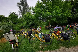 Beega Cycling Tour Cremona - su prenotazione noleggio bici/ebike e servizi di cicloturismo image