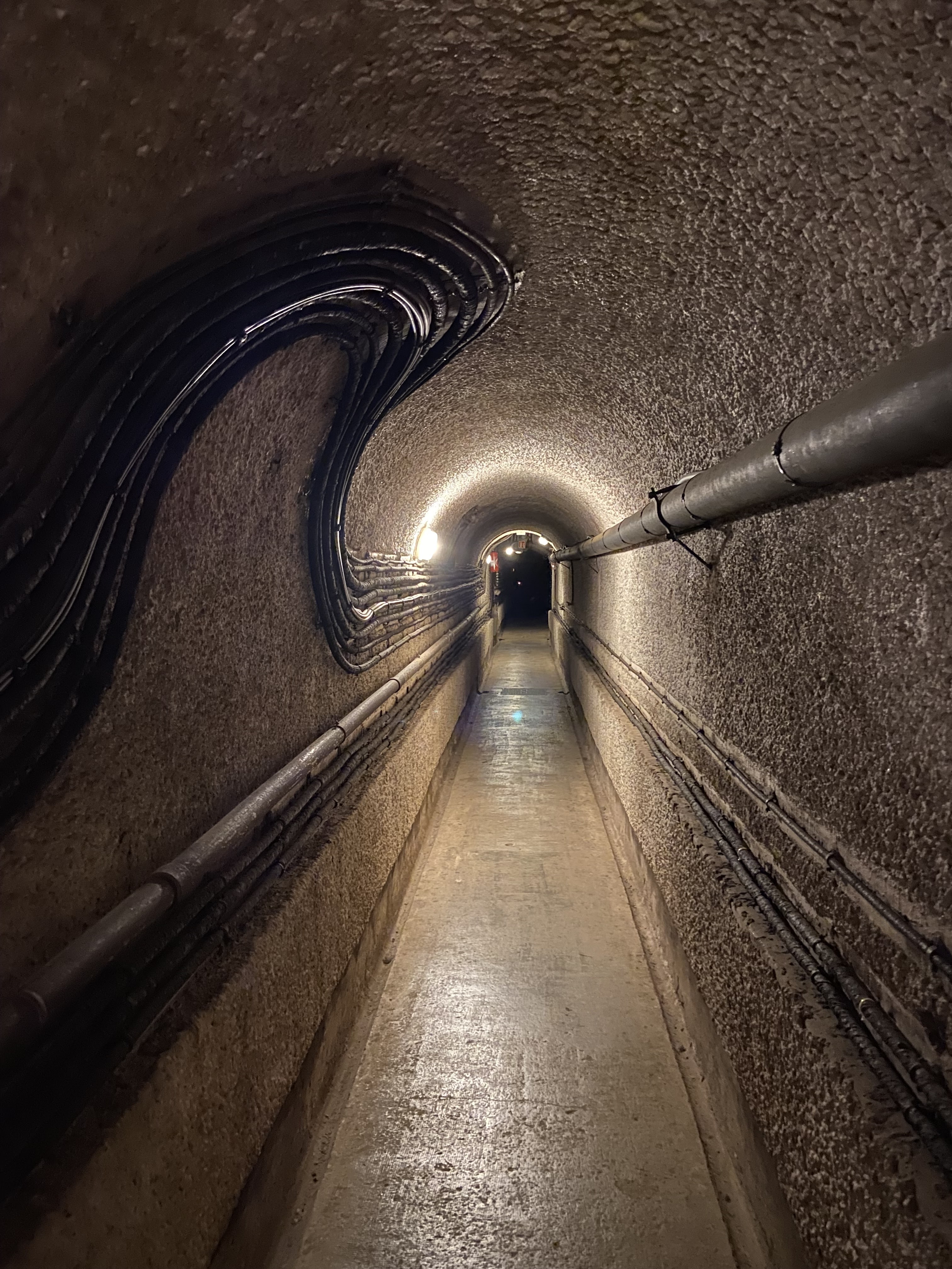 Photo n° 11 de l'avis de Morane.r fait le 22/05/2023 à 08:15