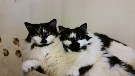 Pet Store «Next to Nature», reviews and photos, 4543 California Ave SW, Seattle, WA 98116, USA