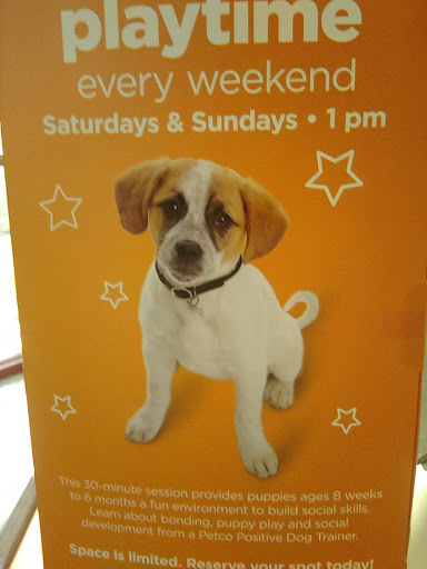 Pet Supply Store «Petco Animal Supplies», reviews and photos, 9137 Central Ave a, Montclair, CA 91763, USA