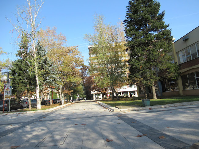 Монтана Център, бул. „3-ти март“ Blvd 98, 3400 Монтана