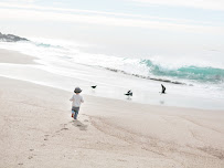 Daniele Rose Photography - Photo 6 - Car repair in Camarillo, CA, Oxnard