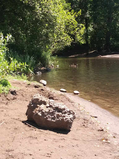 Park «Island Park», reviews and photos, 200 W B St, Springfield, OR 97477, USA