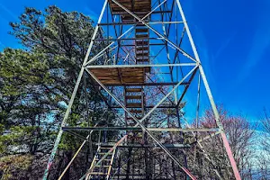 Bluff Mountain Fire Tower image