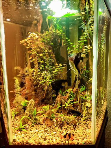 Pet Supply Store «Petco Animal Supplies», reviews and photos, 12163 Sheridan Blvd, Broomfield, CO 80020, USA