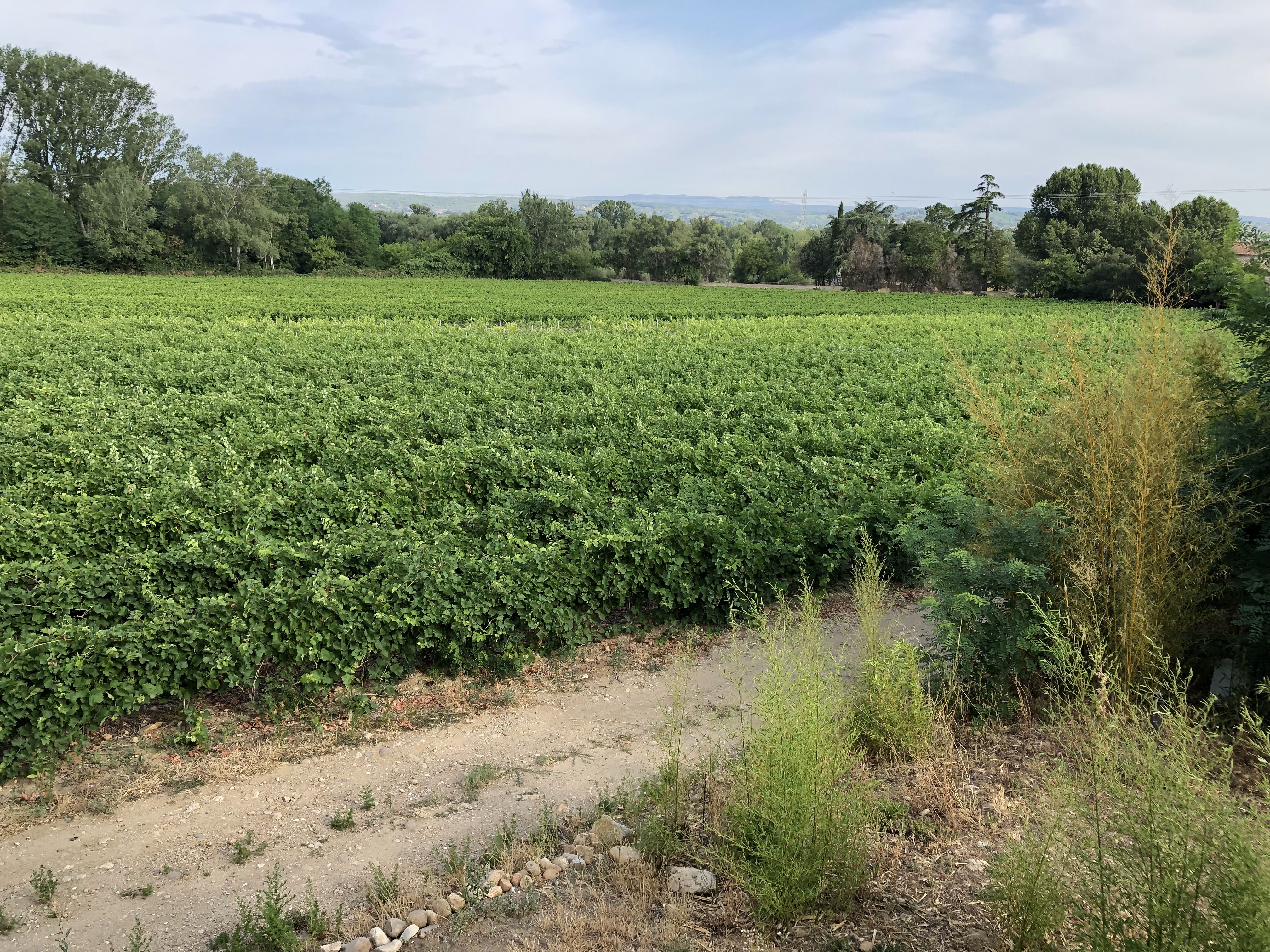 Photo n° 4 de l'avis de Jean-Michel.e fait le 29/07/2019 à 06:01