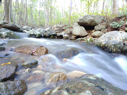 National Park «Shenandoah National Park», reviews and photos