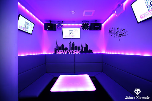 Space Karaoke Bar & Lounge Koreatown NYC image 5