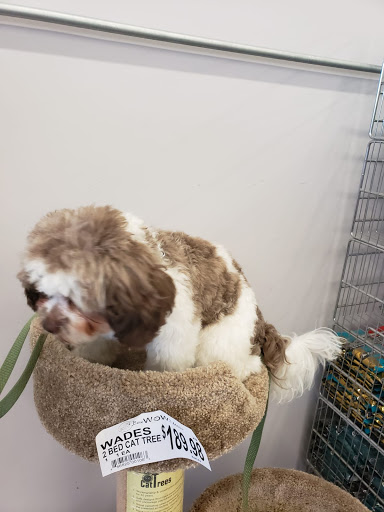 Pet Supply Store «Bow Wow and Meow Pet Supplies», reviews and photos, 1648 S 4th St, Allentown, PA 18103, USA
