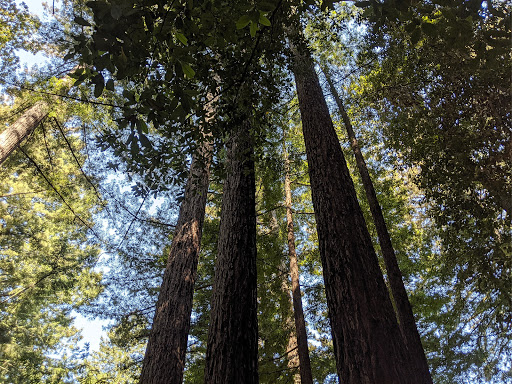 Bear Creek Redwoods Open Space Preserve