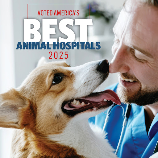 East Brainerd Animal Hospital image