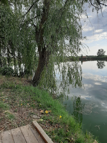 Értékelések erről a helyről: Tuskós-tó, Doboz - Szórakozóhely