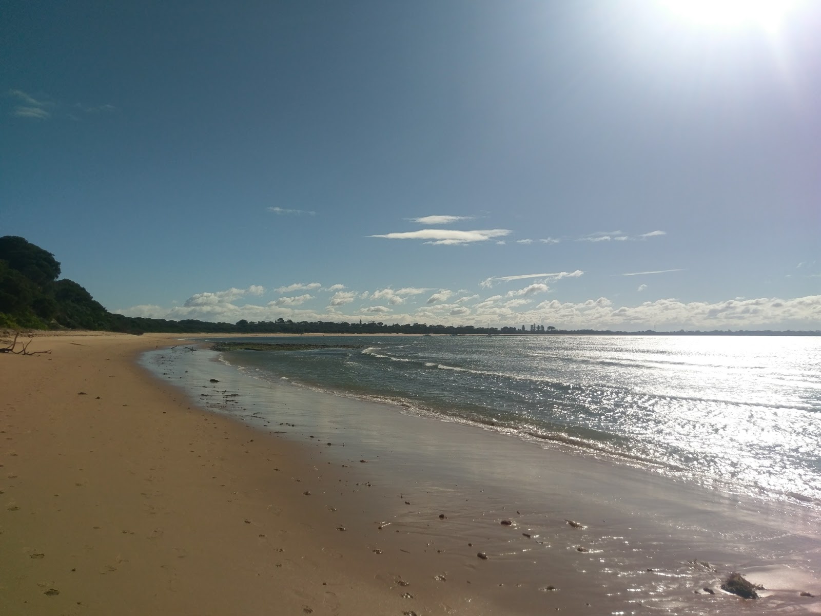 Foto van Cape Woolamai Beach - populaire plek onder ontspanningskenners