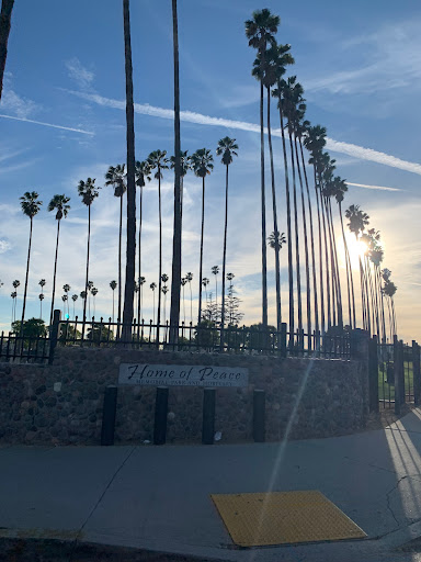 Pet Supply Store «Azteca Pet Shop», reviews and photos, 4431 Whittier Blvd, Los Angeles, CA 90022, USA