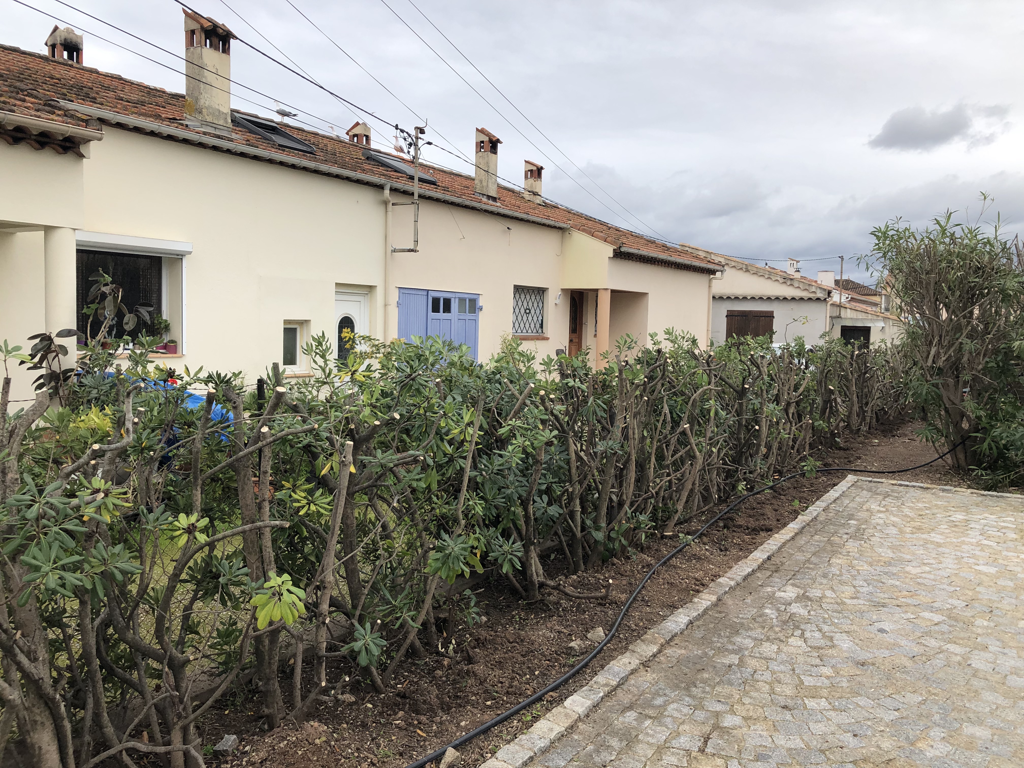Photo n° 1 de l'avis de DENIS.B fait le 08/03/2024 à 19:11