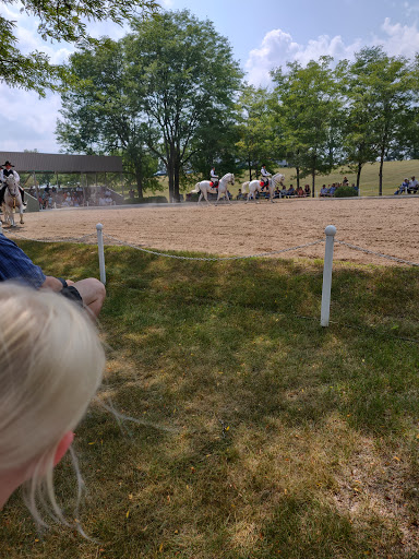 Tourist Attraction «The Tempel Lipizzans», reviews and photos, 17000 W Wadsworth Rd, Old Mill Creek, IL 60083, USA