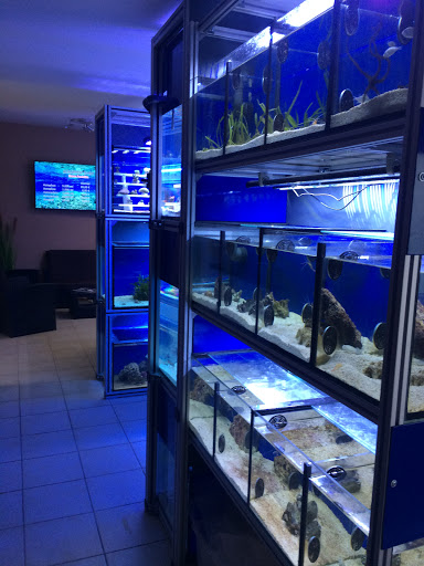 Acrofarm GmbH (Meeresaquaristik Lemke) unter Rollshausen, 