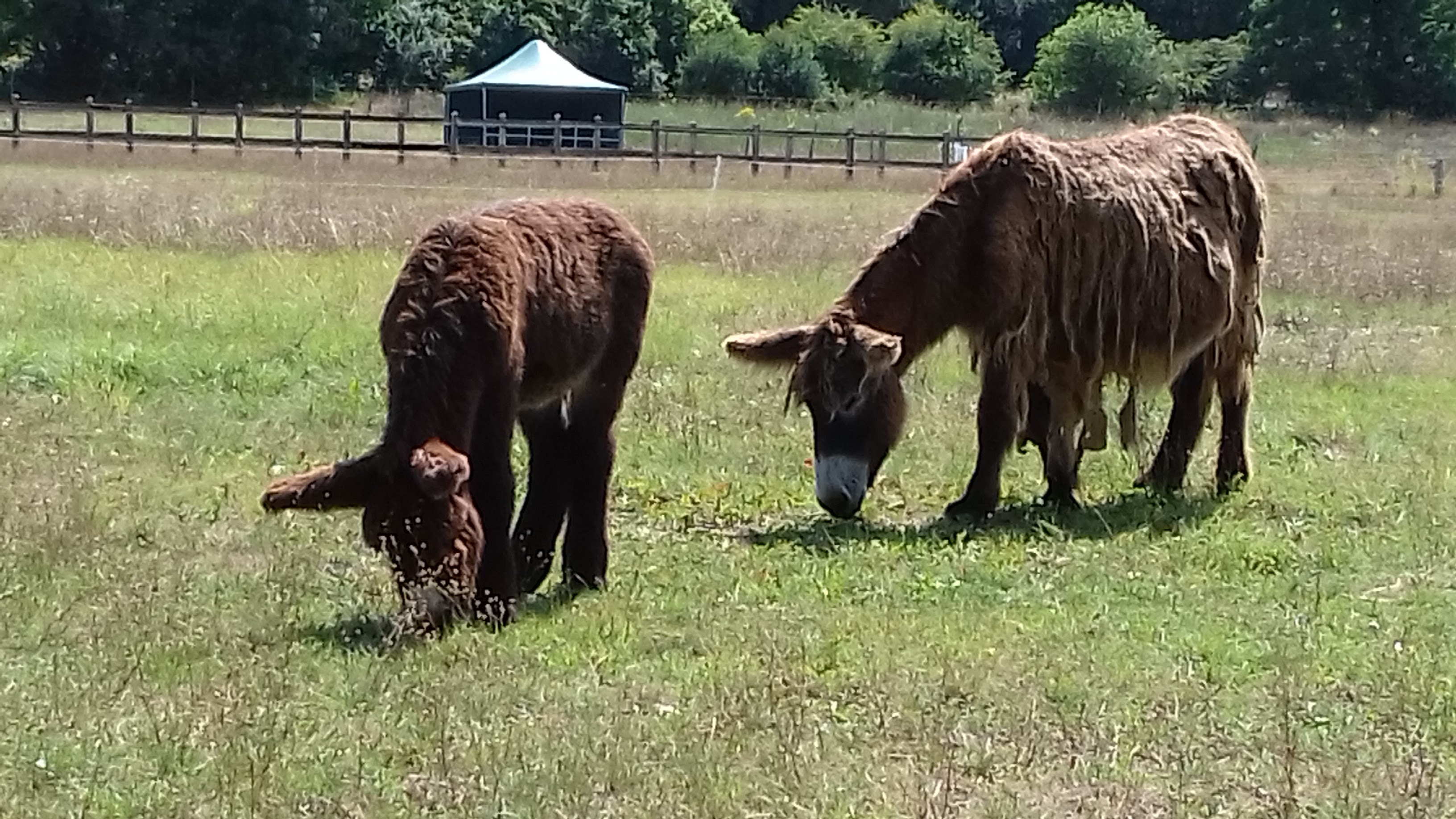 Photo n° 1 de l'avis de Martine.a fait le 07/08/2019 à 12:24