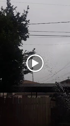 Grocery Store «Loma Linda Market», reviews and photos, 11161 Anderson St #100, Loma Linda, CA 92350, USA