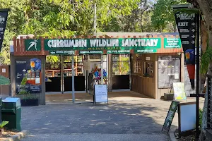 Currumbin Wildlife Sanctuary image