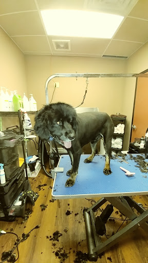 Pet Store «Pet Valu», reviews and photos, 2645 Shillington Rd, Sinking Spring, PA 19608, USA