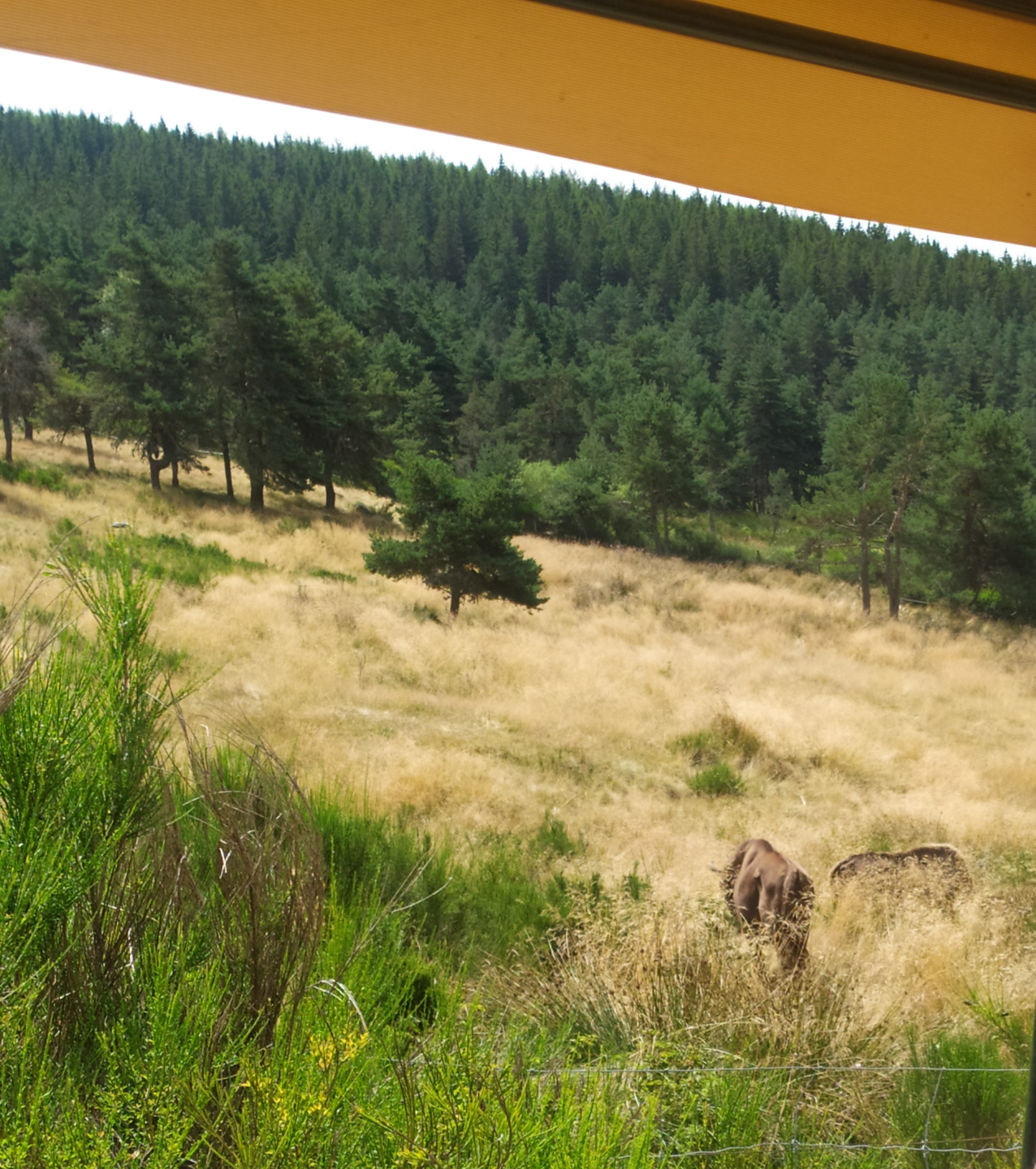 Photo n° 5 de l'avis de Angel.� fait le 19/08/2023 à 17:20