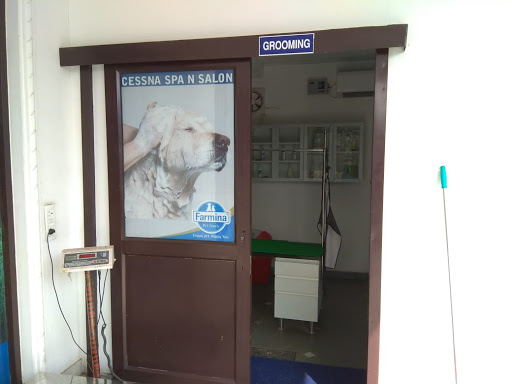 Cessna Lifeline Veterinary Hospital Gurgaon