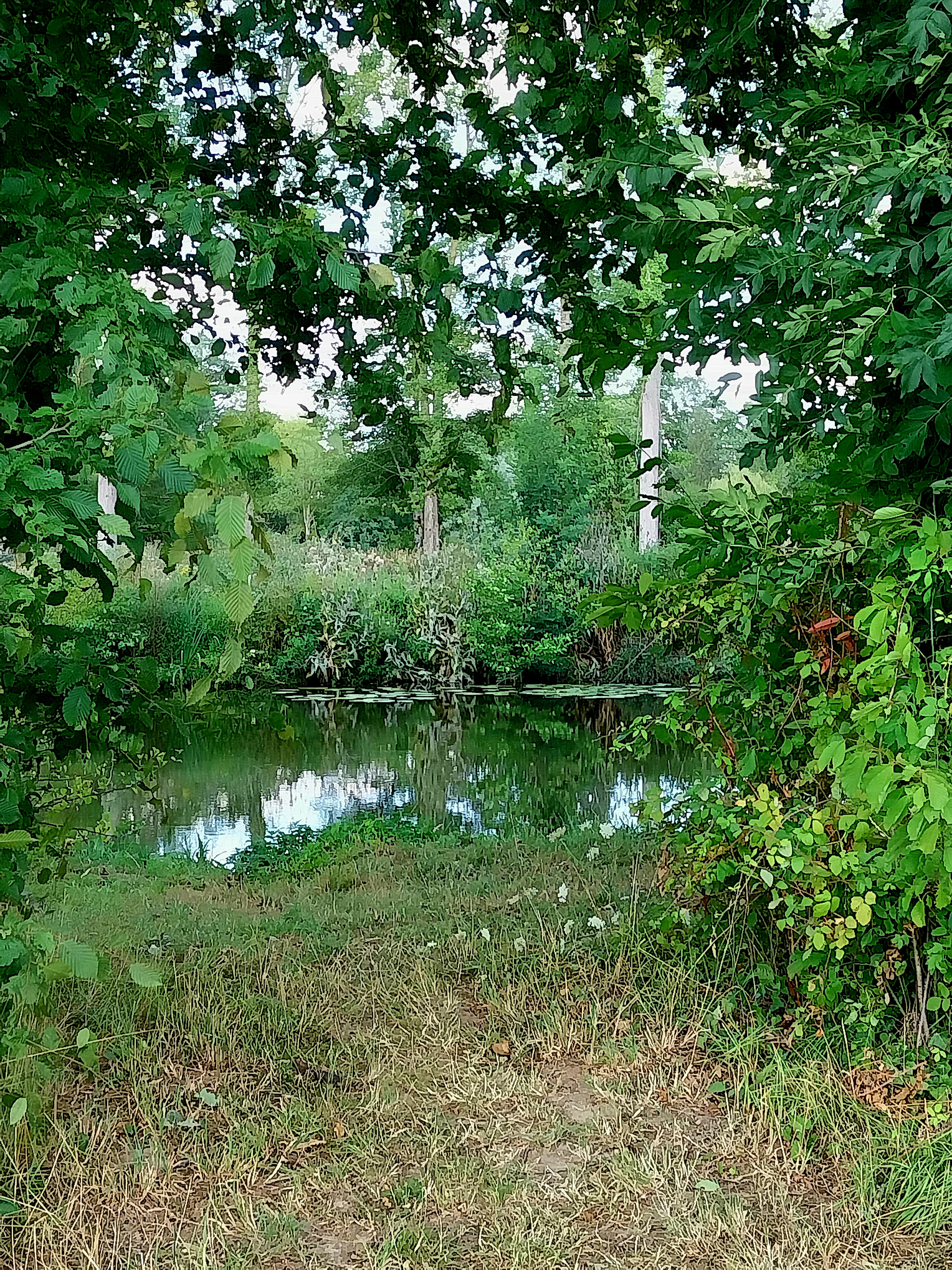 Photo n° 3 de l'avis de Ka.s fait le 30/07/2023 à 07:29