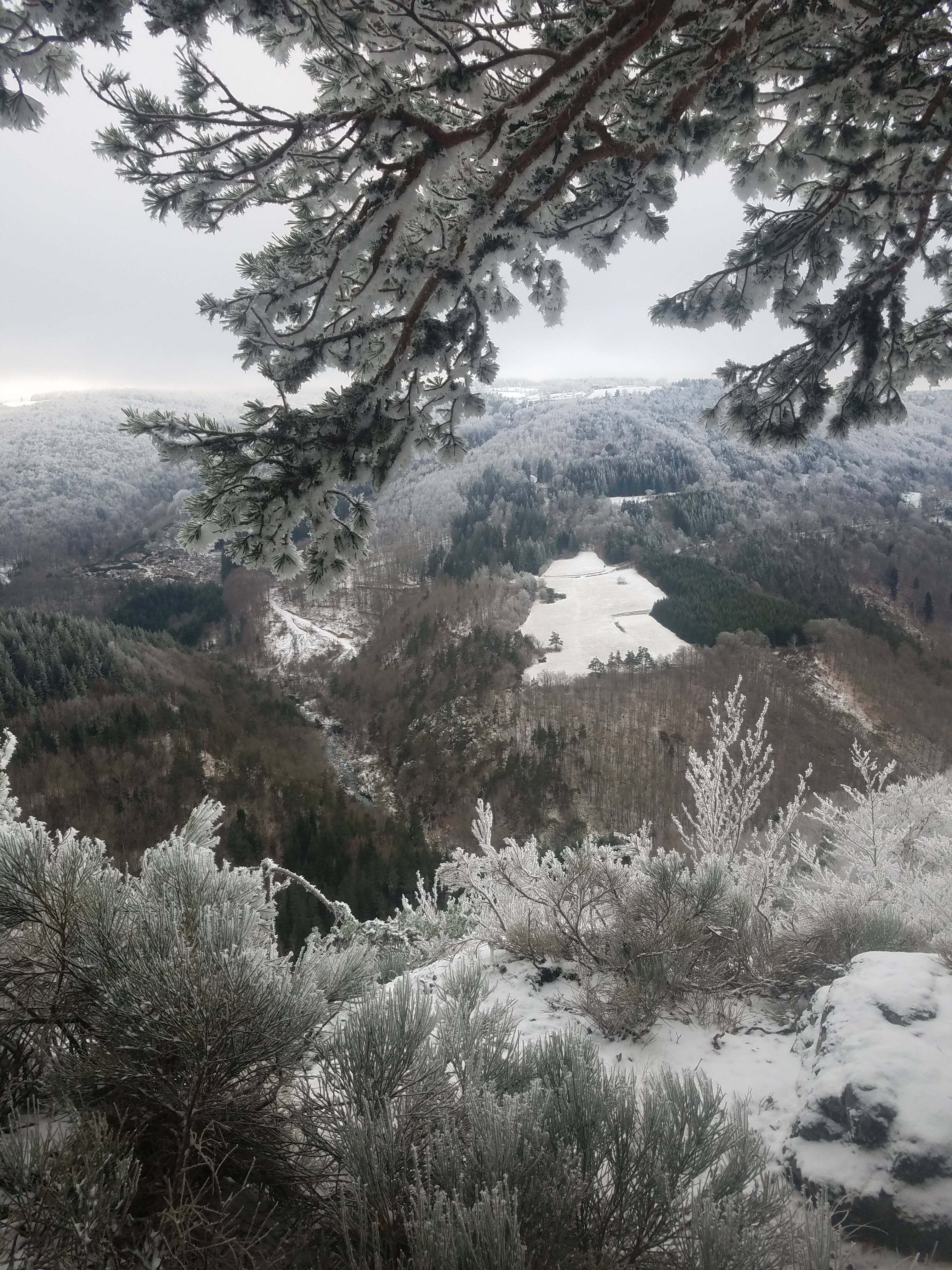 Photo n° 2 de l'avis de ambre.a fait le 09/01/2019 à 21:08