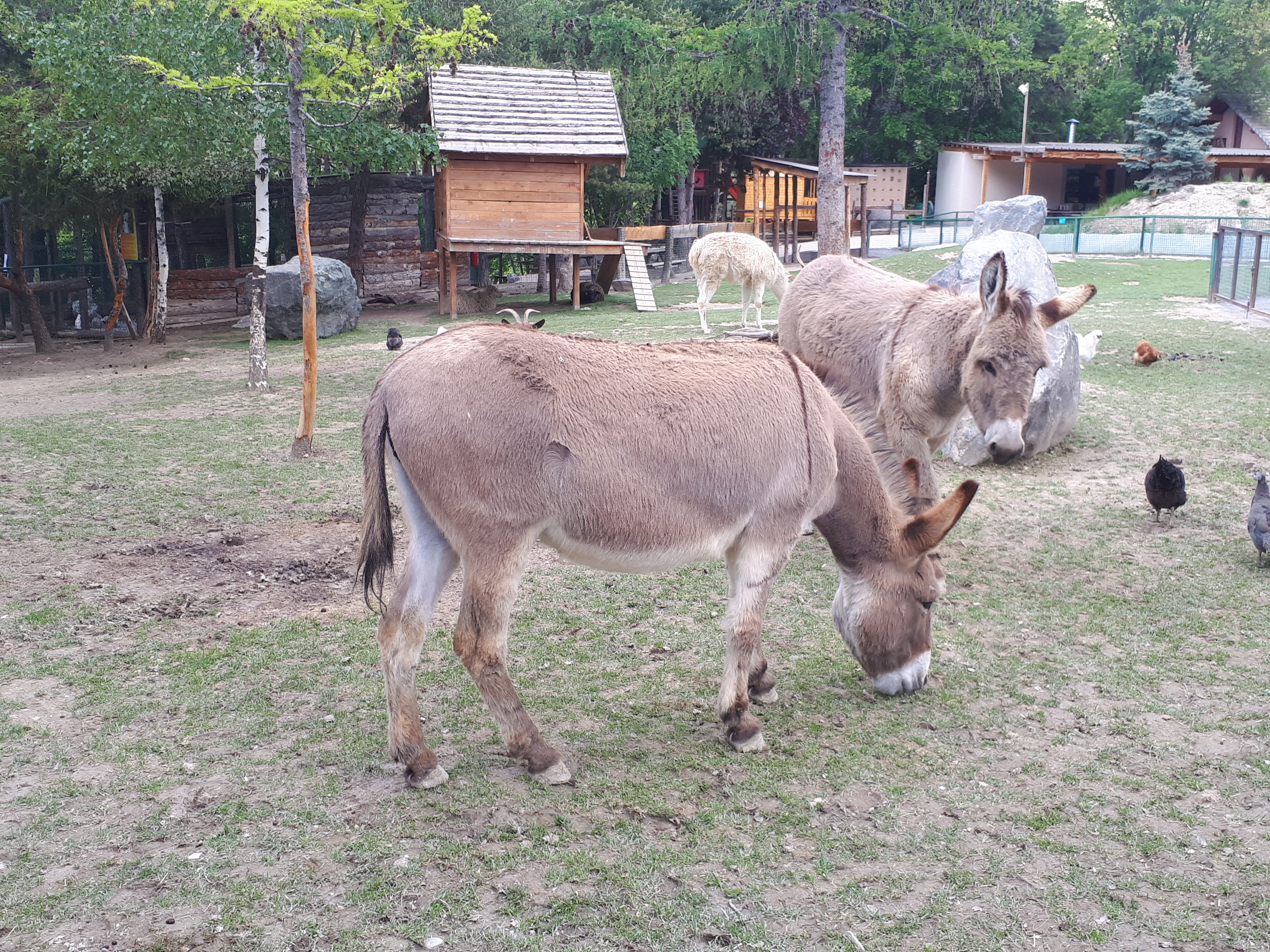 Photo n° 2 de l'avis de Nath.� fait le 16/05/2018 à 21:32