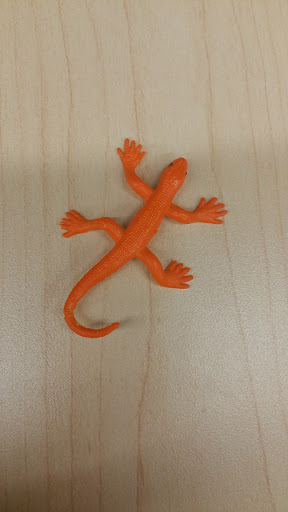 Video Arcade «Safari Playground», reviews and photos, 700 N Pontiac Trail, Walled Lake, MI 48390, USA