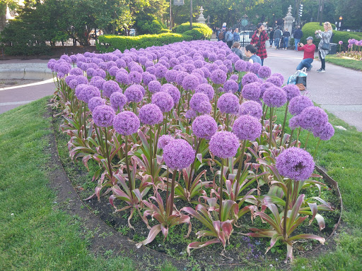 Secret gardens in Boston