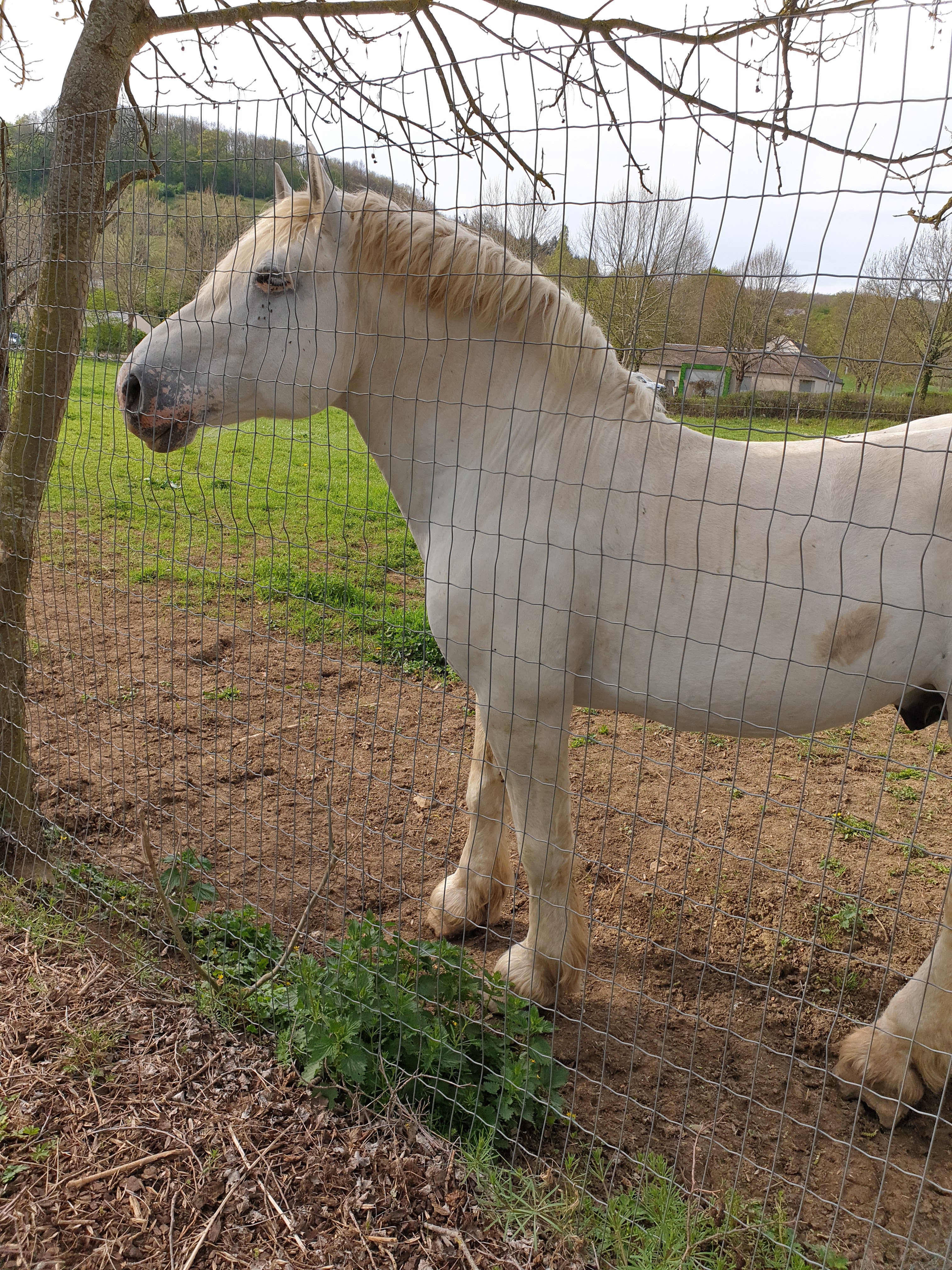 Photo n° 6 de l'avis de Cynthia.a fait le 23/04/2019 à 23:37
