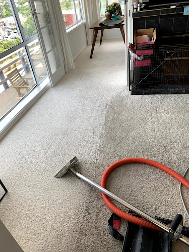 Carpet Care Solutions | Carpet Cleaning Co - Christchurch