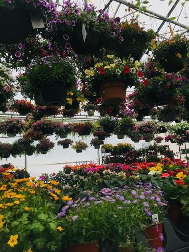 Garden Center «Royal Victorian Garden Center», reviews and photos, 10911 State Rd, Cleveland, OH 44133, USA