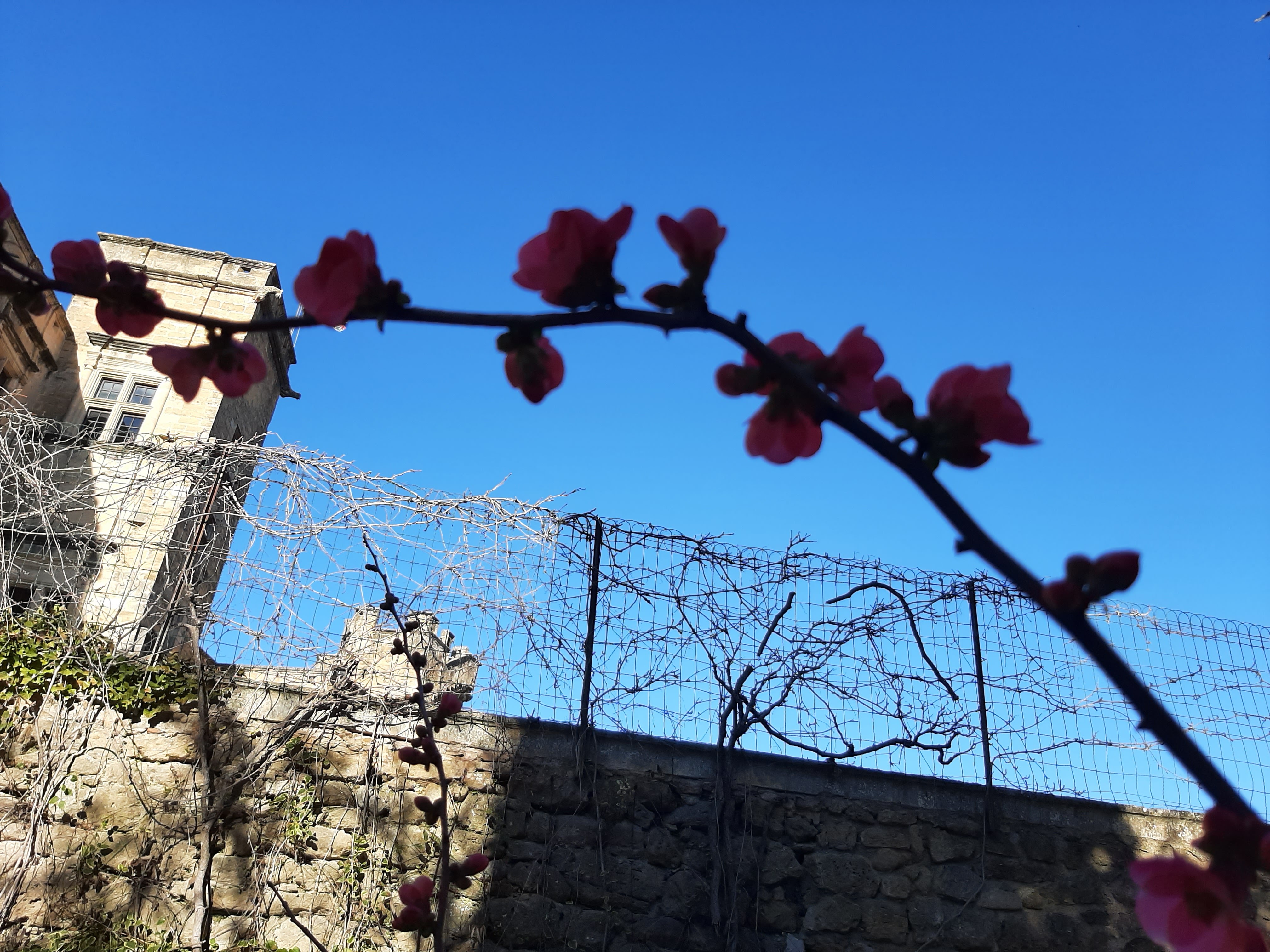 Photo n° 6 de l'avis de Viviane.u fait le 19/02/2023 à 12:23