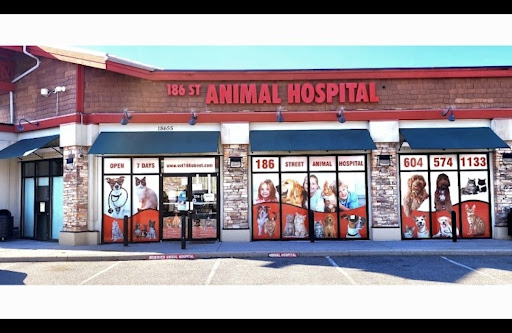 186 St Animal Hospital Surrey Langley