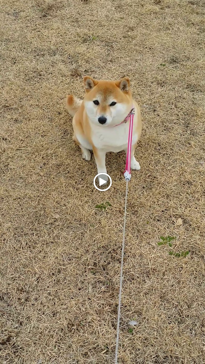 鳴門町６号公園