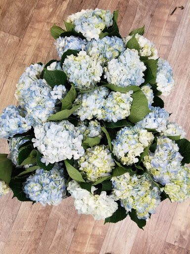 Florist «Myers Florist/Emerald Gardens Flowers», reviews and photos, 2906 Hillsborough Rd, Durham, NC 27705, USA